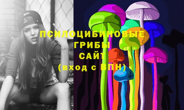 мяу мяу мука Магадан